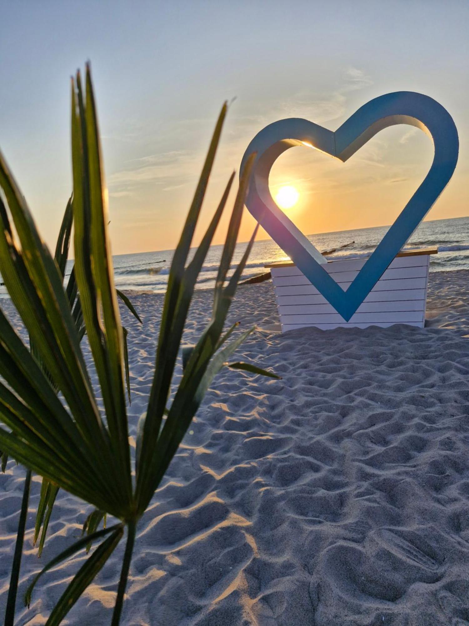 Ferienwohnung Ostseegras Markgrafenheide, 350M Bis Zur Ostsee, Unweit Von Warnemuende Rostock Exteriör bild